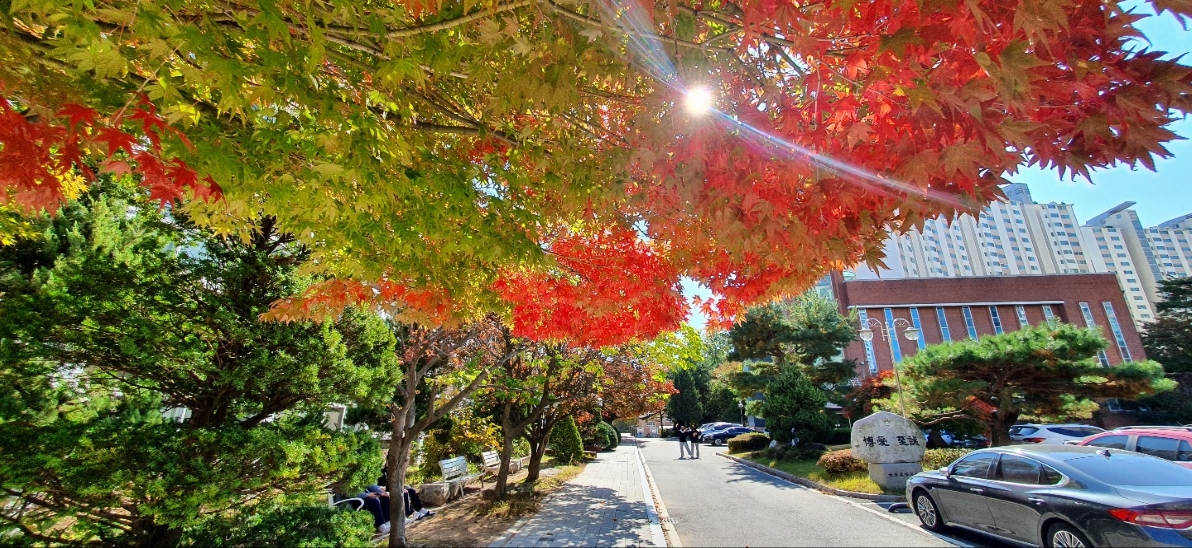 메인3